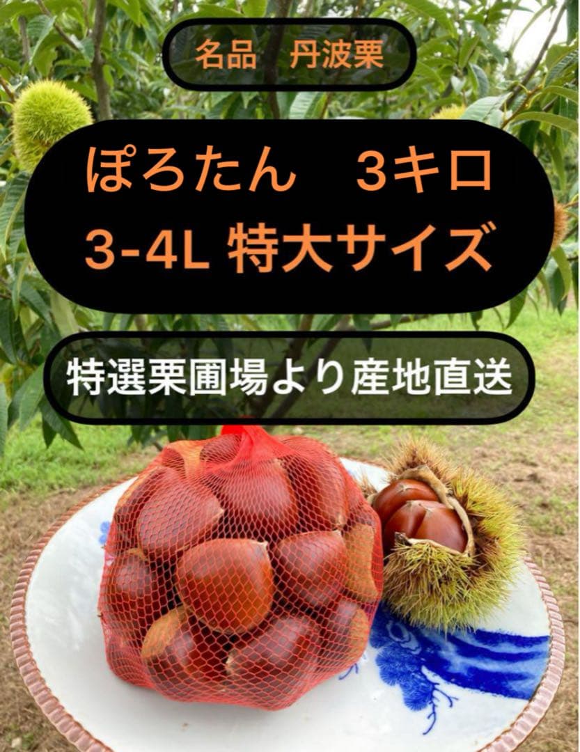 丹波栗特大サイズ　ぽろたん　3kg