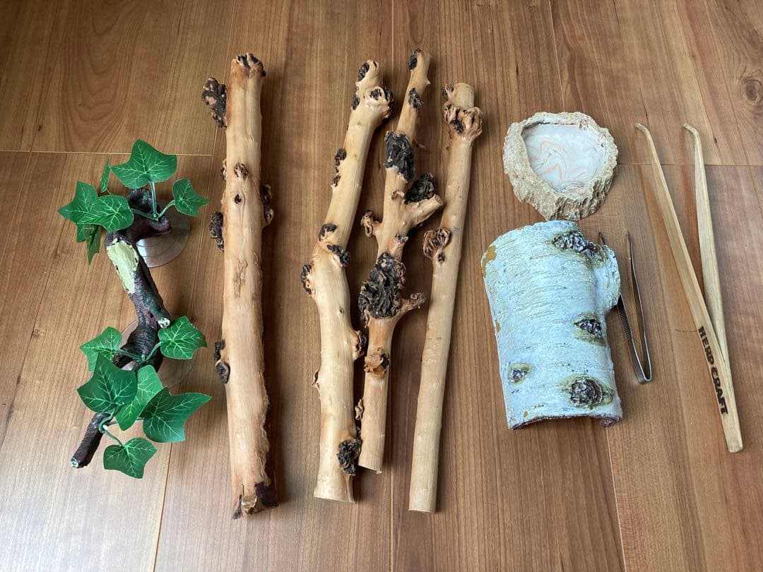 グラステラリウム爬虫類飼育セット　おまけ盛りだくさん（写真に写ってるものすべて）