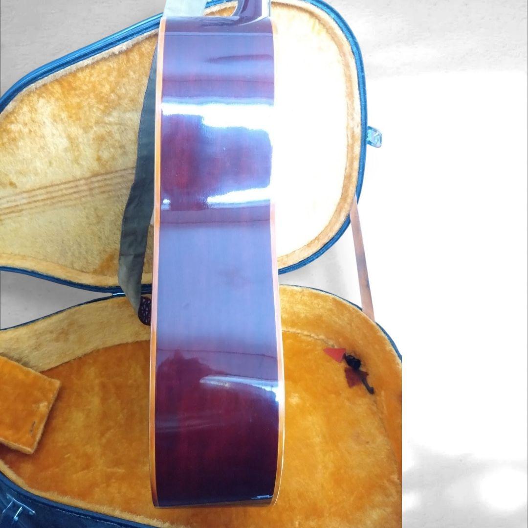 アコースティックギター　EliteTAKAMINEGAKKI HM200