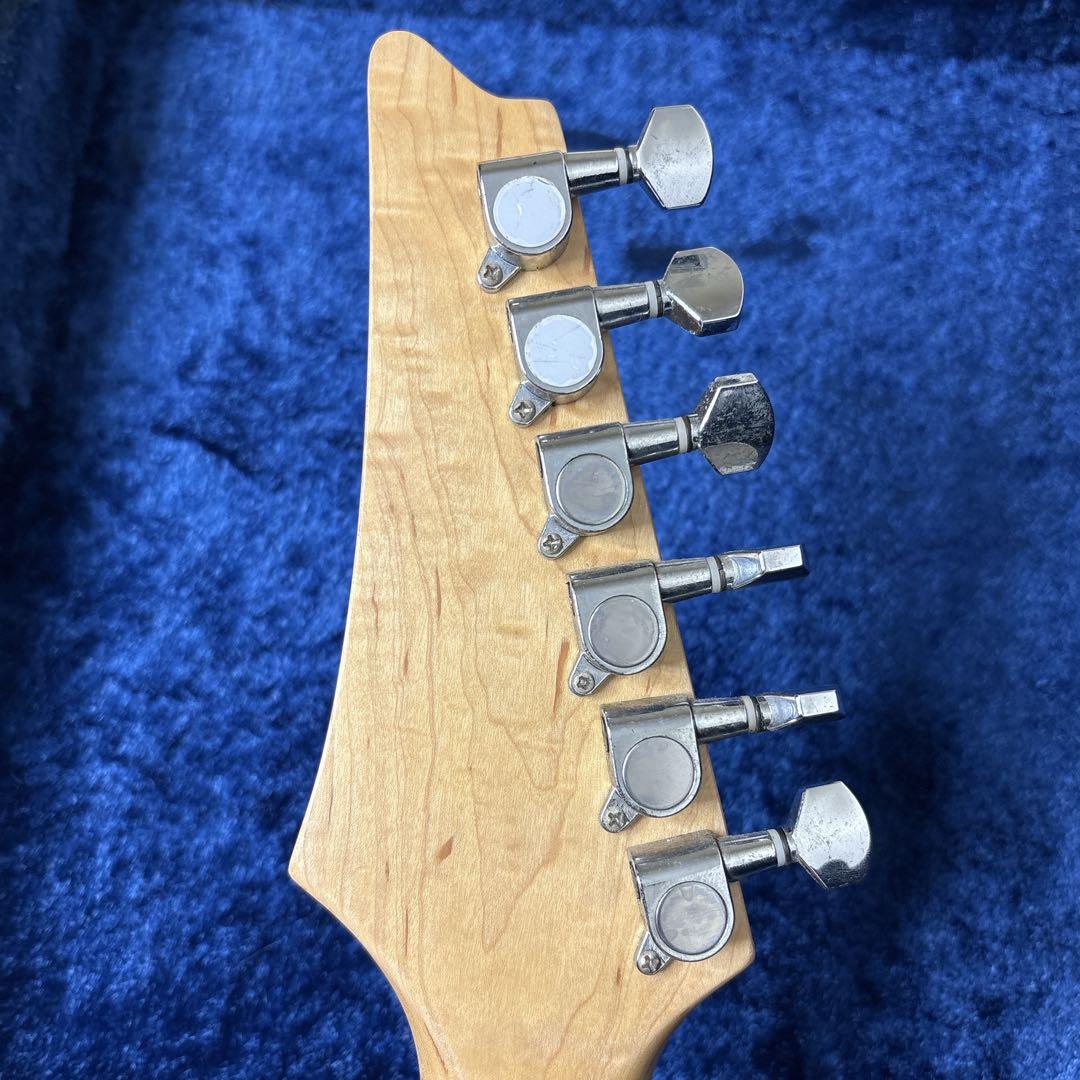 スティーブヴァイ　モンキーグリップ　アイバニーズタイプ