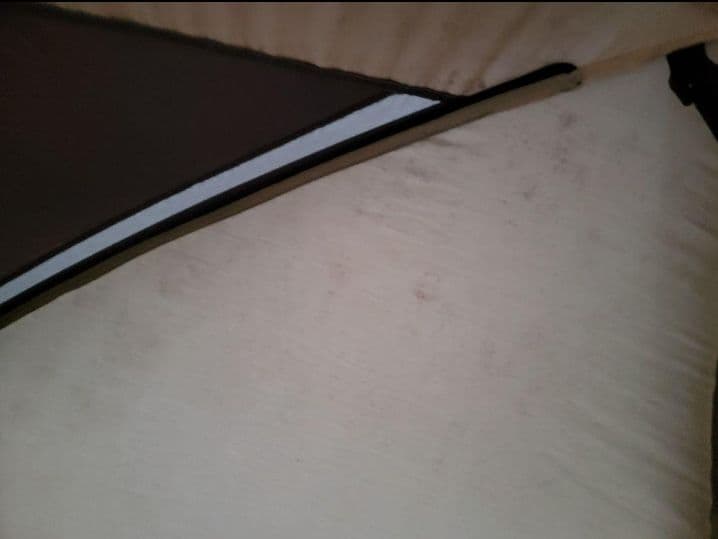 Coleman コールマン　ウェザーマスター　ブリーズドームⅢ／300