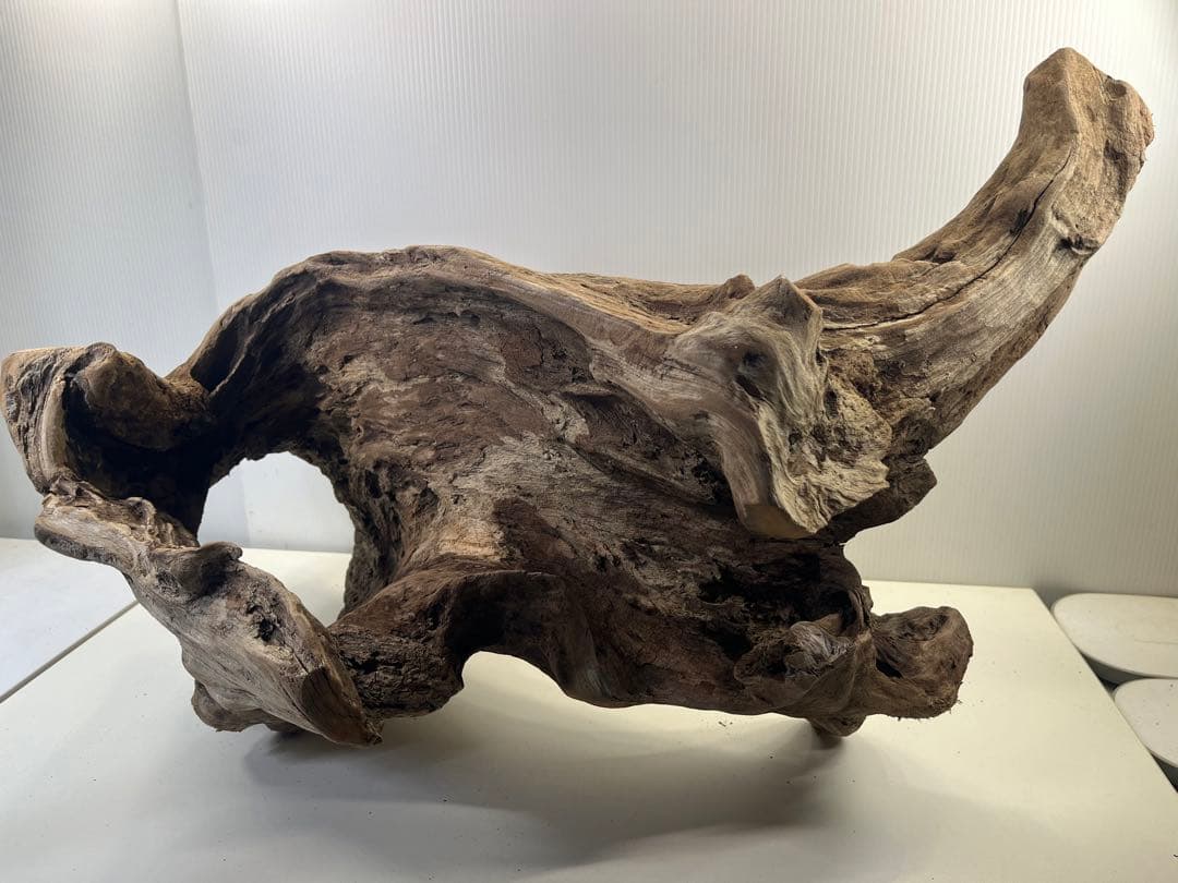 R72特大流木アク抜き済み流木 爬虫類シェルター 登り木 インテリア 生け花