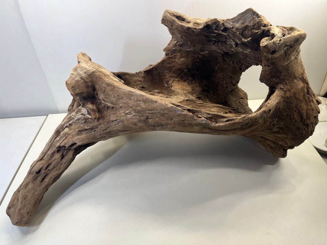 R72特大流木アク抜き済み流木 爬虫類シェルター 登り木 インテリア 生け花