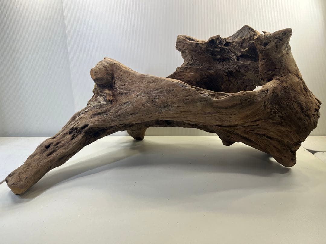 R72特大流木アク抜き済み流木 爬虫類シェルター 登り木 インテリア 生け花