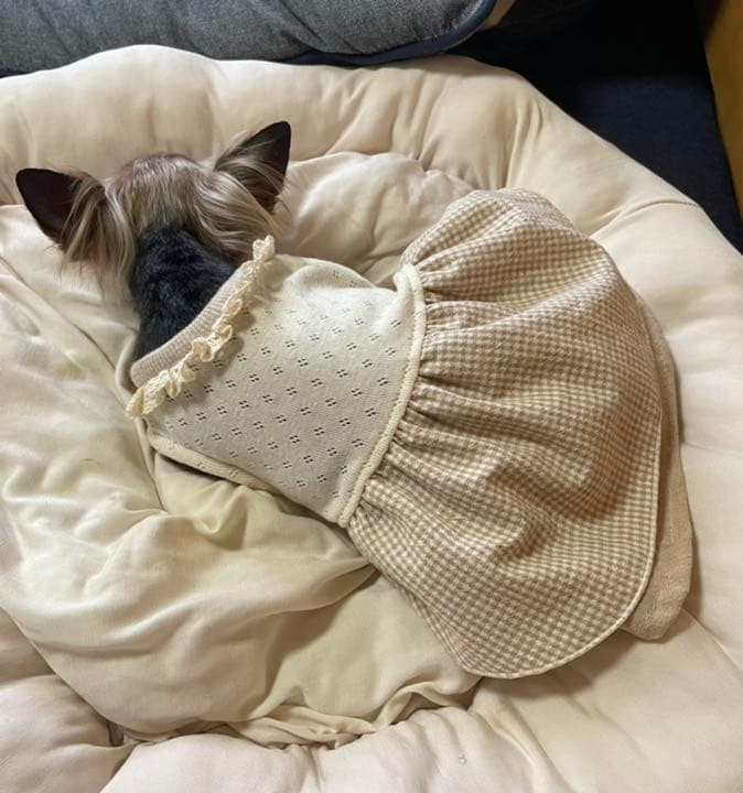 ハンドメイド犬服　ナチュラルカラーのエプロンドレス★袖付可能