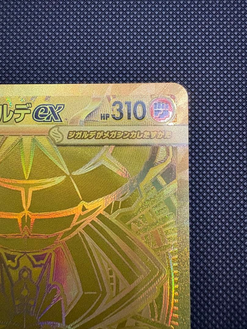 メガジガルデex MUR SARセット