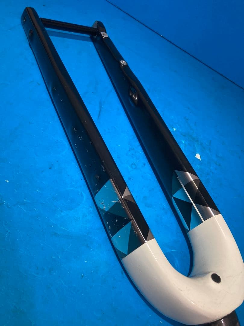 ◻️Trek Checkpoint ALR 5 フルカーボンフロントフォーク