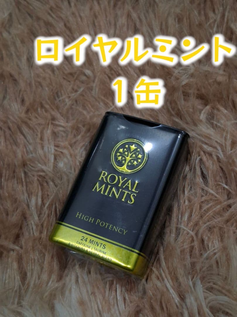 ⭐1缶 毎日発送 匿名発送 　ロイヤルミント⭐