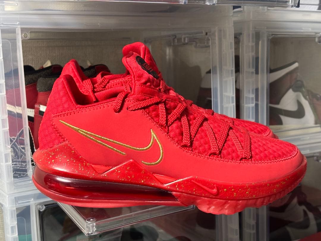 NIKE レブロン17 dc5009 600