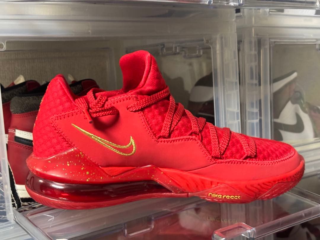 NIKE レブロン17 dc5009 600