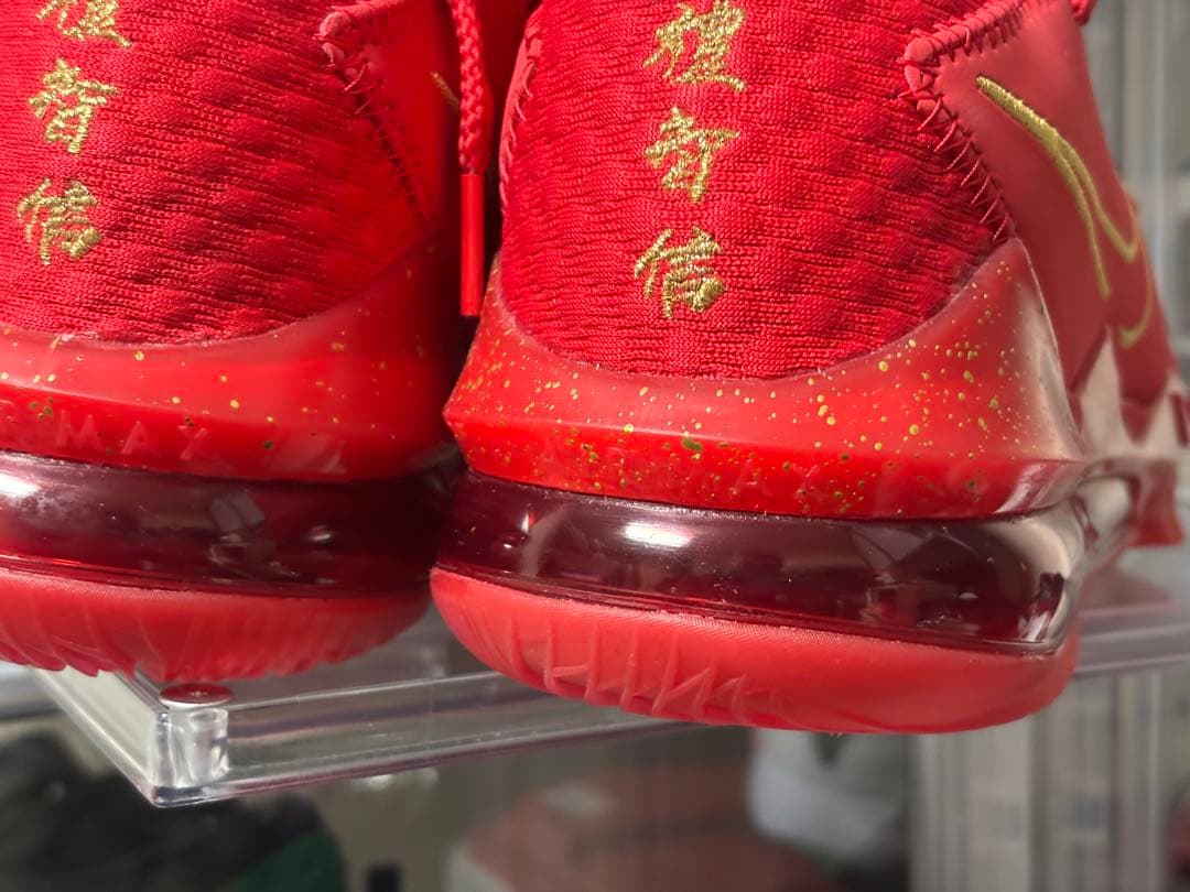 NIKE レブロン17 dc5009 600