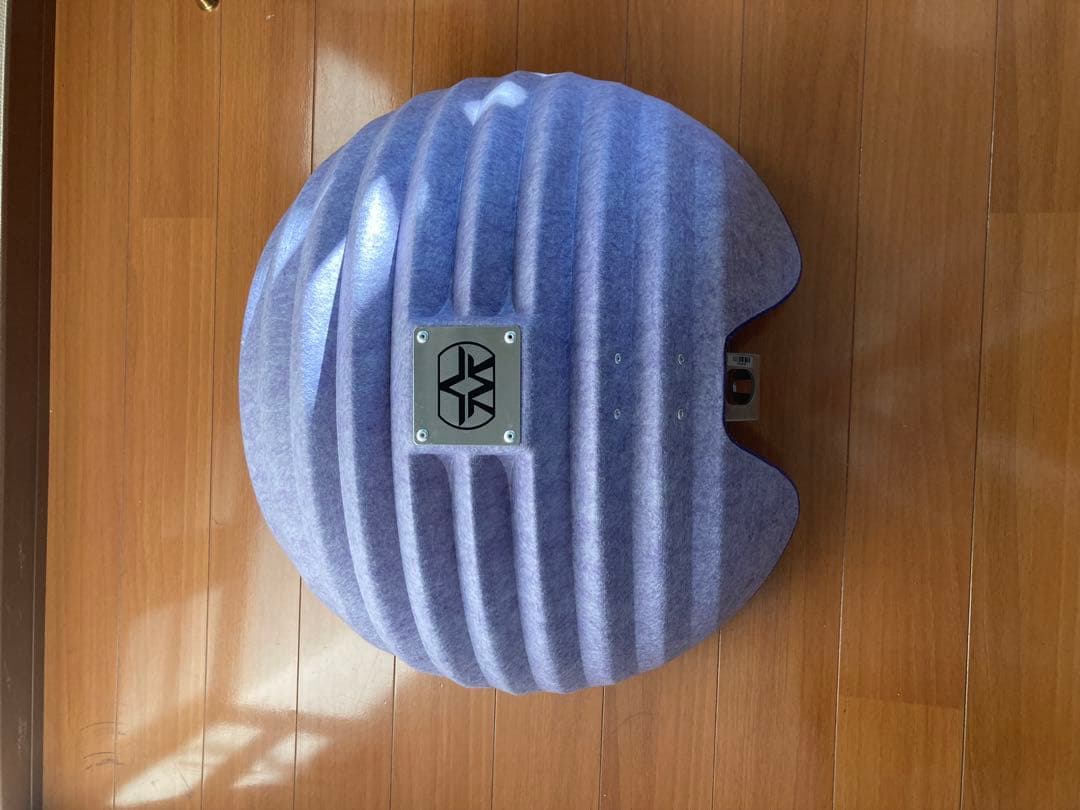 ASTON MICROPHONES ( アストン・マイクロホンズ ) Halo