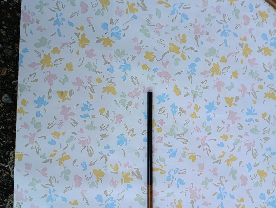 ヘラブナ釣り竿シマノ先抜け