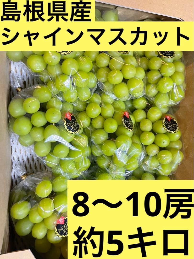⑥【島根県産】シャインマスカット約5キロ