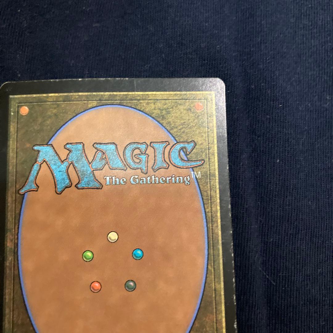 正義の命令　スカージ　foil フランス語