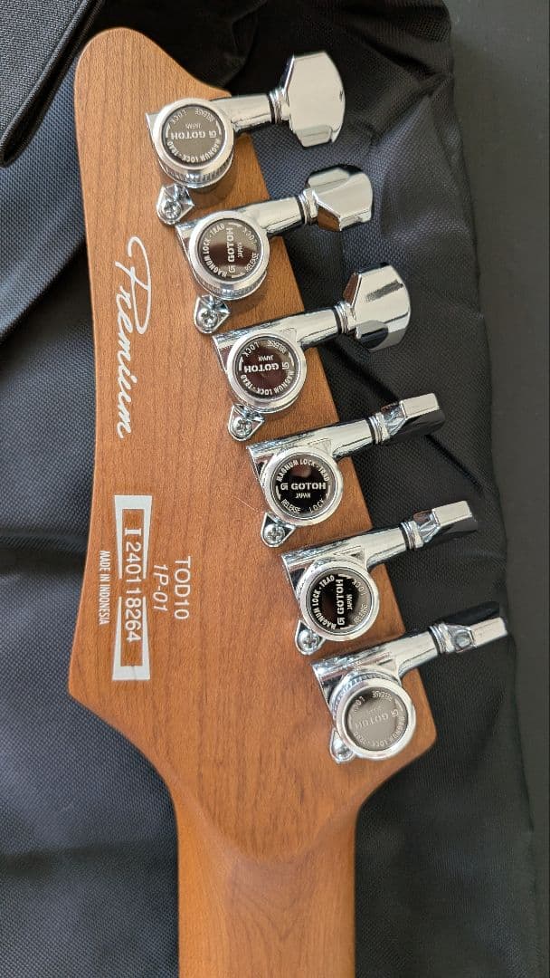 Ibanez tod10と付属品セット