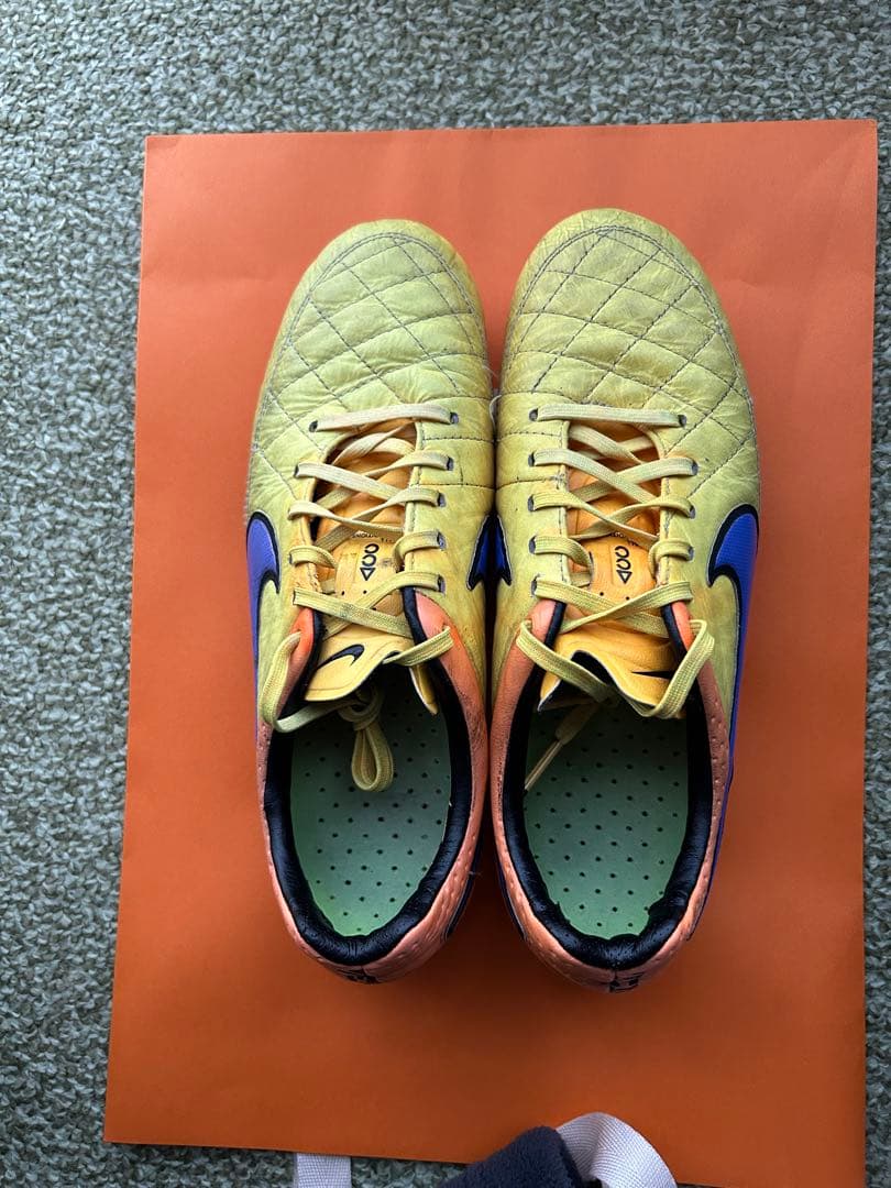 ティエンポレジェンド5 FG