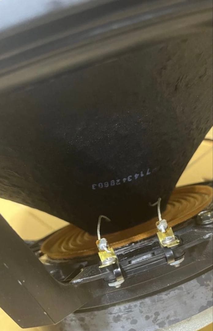 Electro Voice DL15W①15インチ1ペア