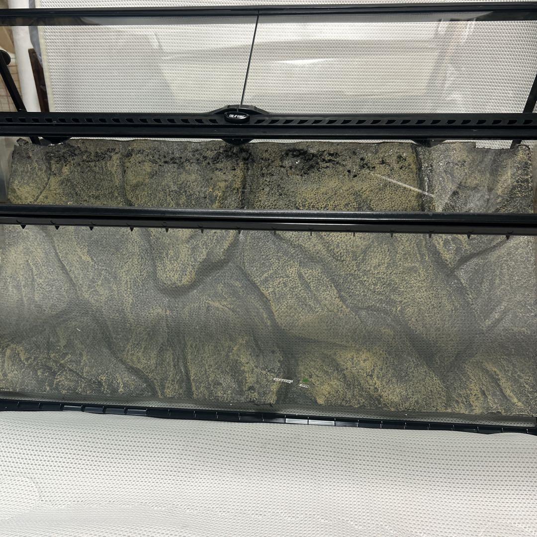 エキゾテラ　グラステラリウム9045