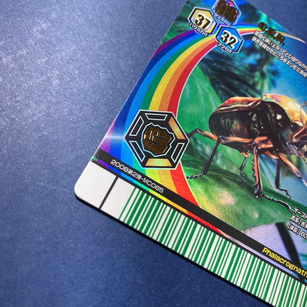 甲虫王者ムシキング　アダー完結編　レインボー　ニジイロクワガタ　オレンジ　１枚