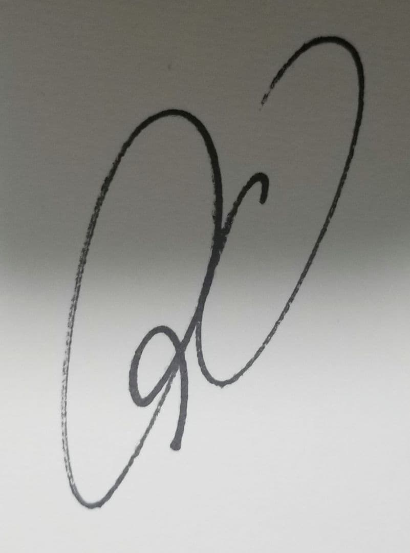 ネイマール　フレッジ　アラーナ　アリソン　ヴィニシウス　ジェズス　直筆サイン