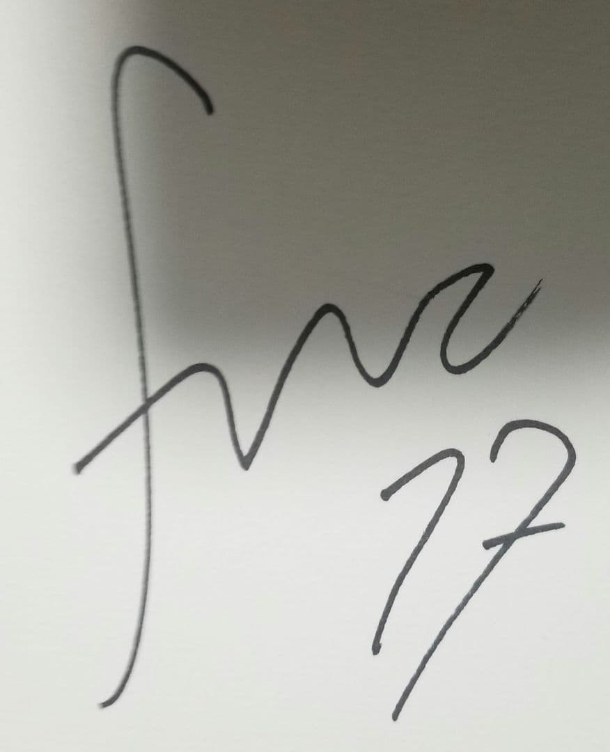 ネイマール　フレッジ　アラーナ　アリソン　ヴィニシウス　ジェズス　直筆サイン