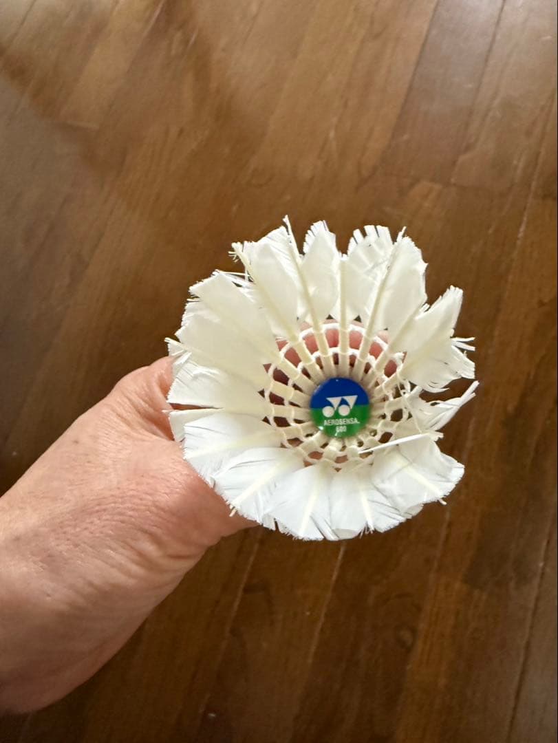 バトミントンシャトル　エアロセンサ500.600