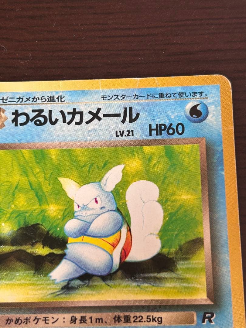 まーさん専用⭐️カメックス ★ 悪いカメックス　セット