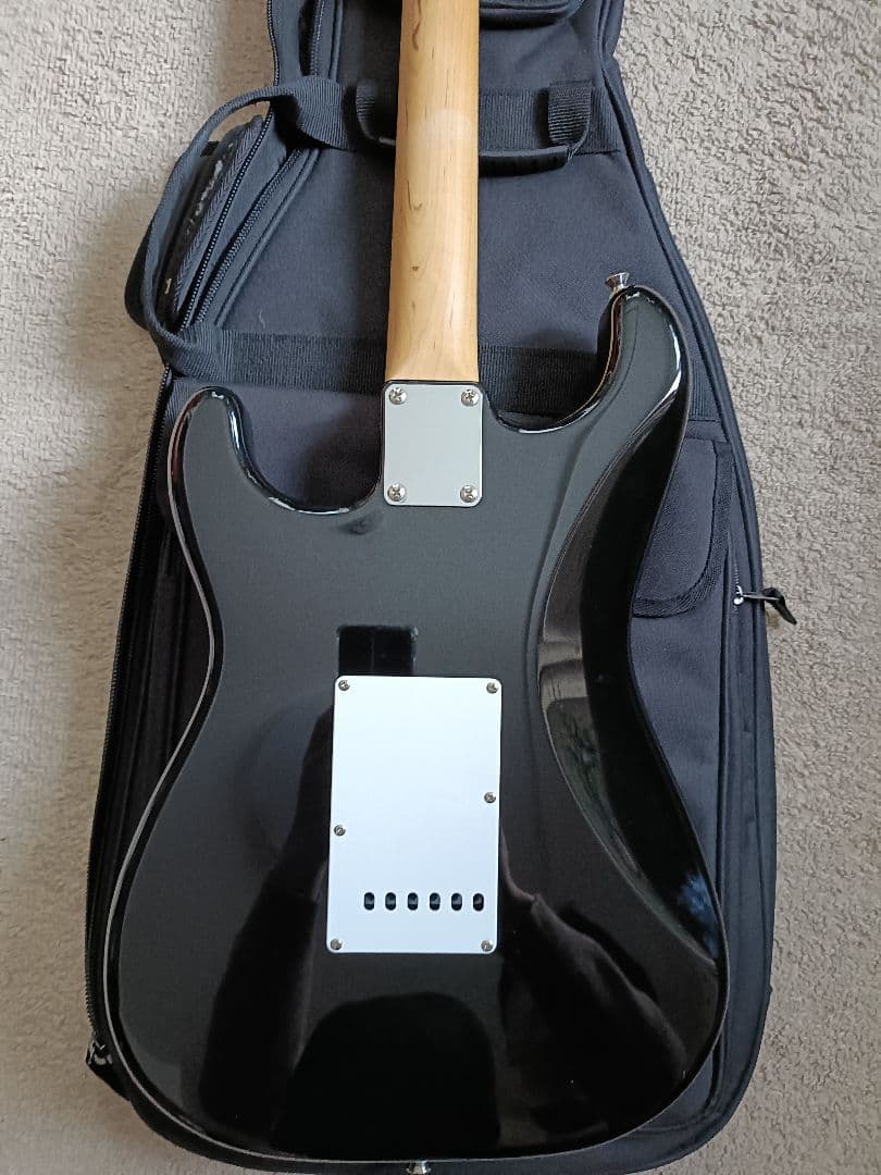 ギター FgN BCST10RBD BLK basic classic