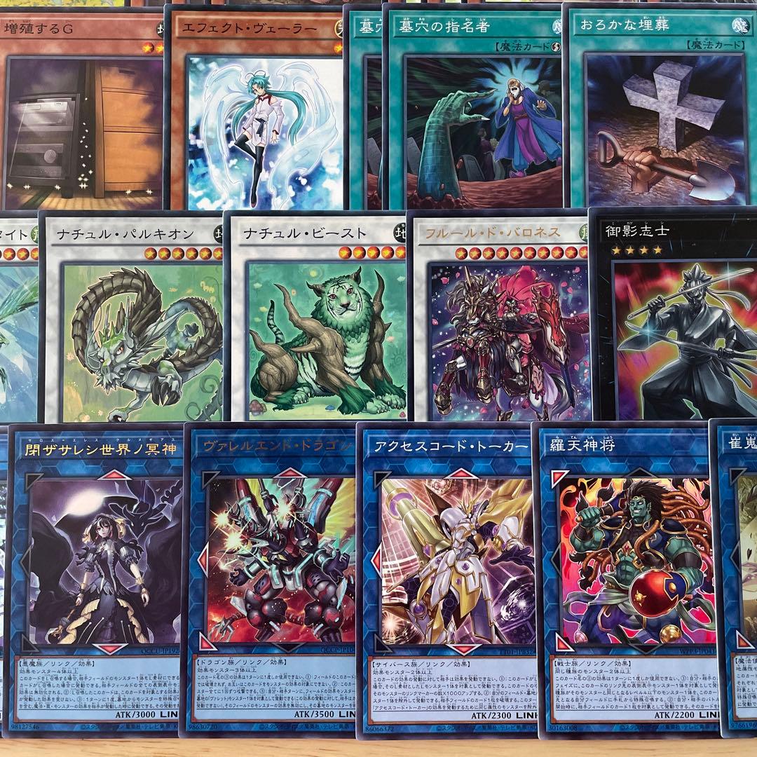 優勝構築 春化精アダマシアデッキ 魔救の捜索者 御影志士 丘と芽吹の春化精