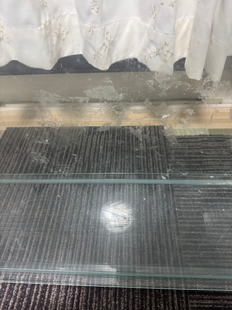 大型水槽　75~80L水槽