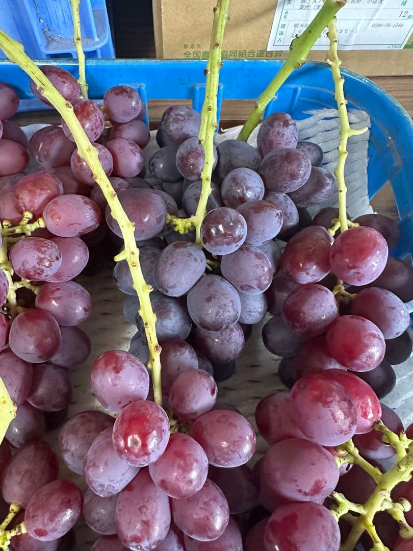 小粒クイーンルージュ⭐︎２キロ　ご家庭用