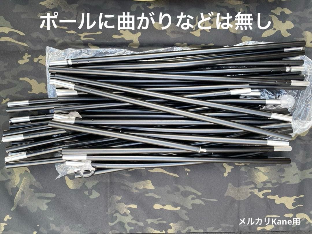 ヘリノックス Vタープ 4.0 廃盤品