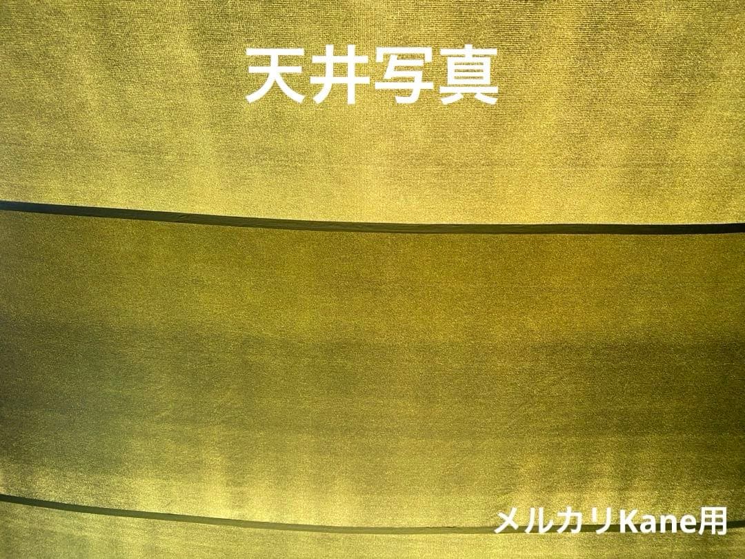 ヘリノックス Vタープ 4.0 廃盤品