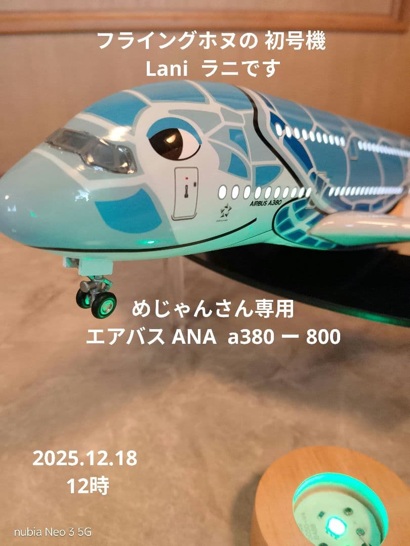 ●【ご注意！】 めじゃんさん 専用の機体です 12/18着