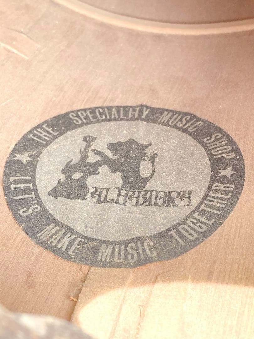 ハープ 弦楽器 楽器 ハープ本体 ケース付き オーケストラ 演奏 クラ