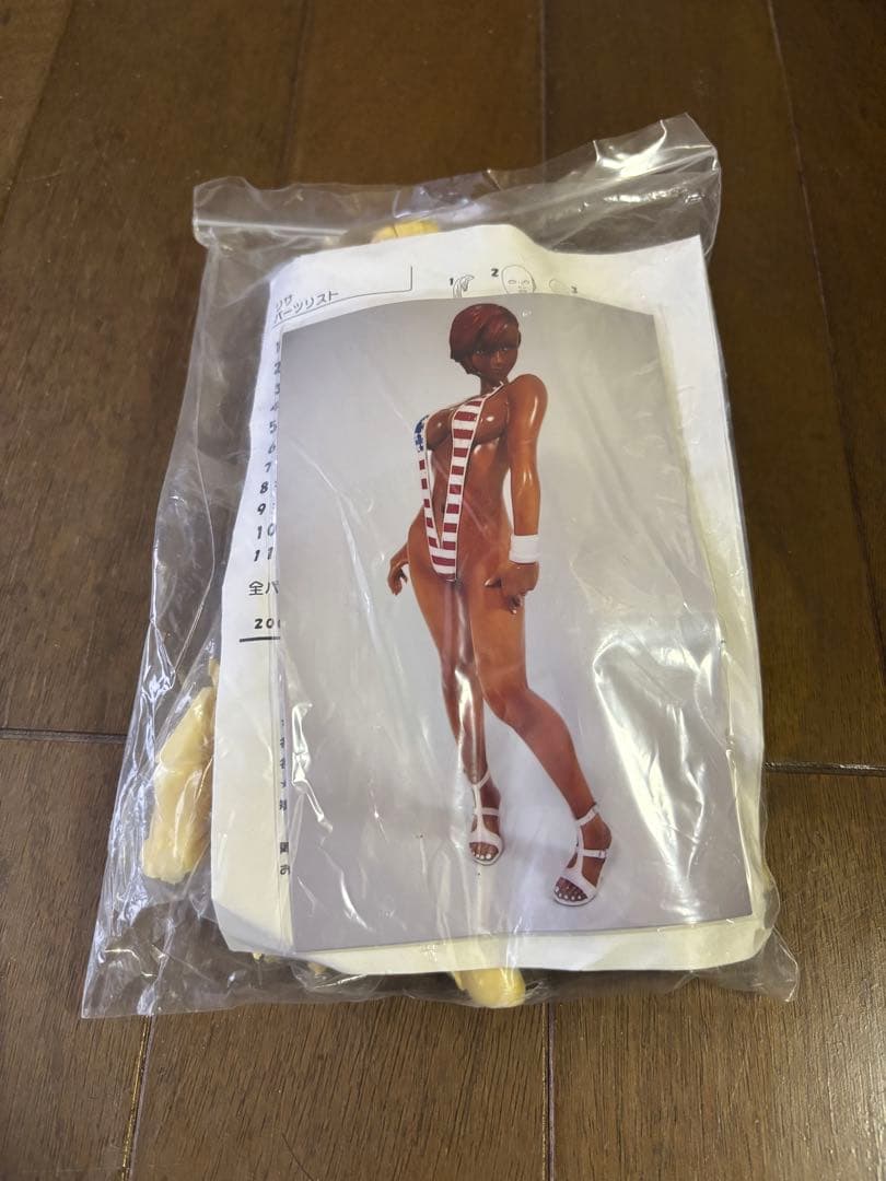 DEAD OR ALIVE デッドオアアライブ　リサ　ガレージキット