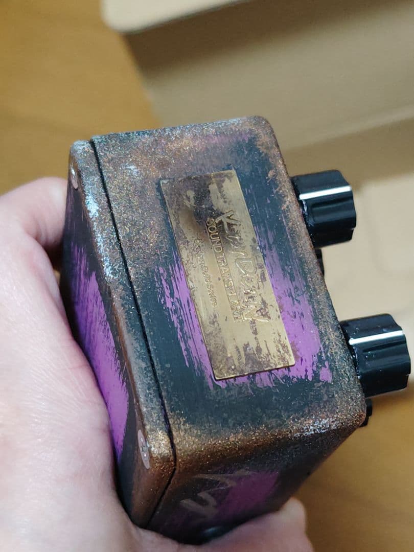 ギター Kardian & Petla FZ4A