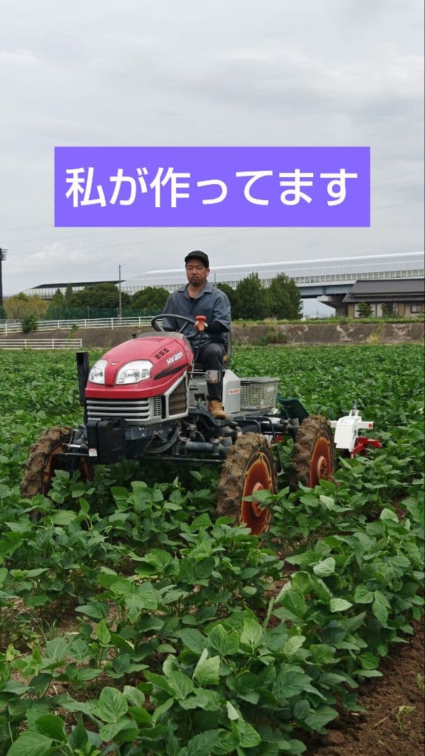 令和7年産　大豆 フクユタカ 正味13kg　愛知県産