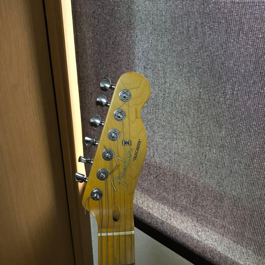 Fender Telecaster Thinline コンポーネント中古品