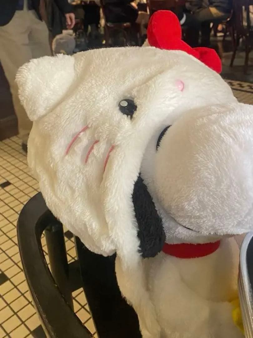 usj ファンキャップ キティちゃん