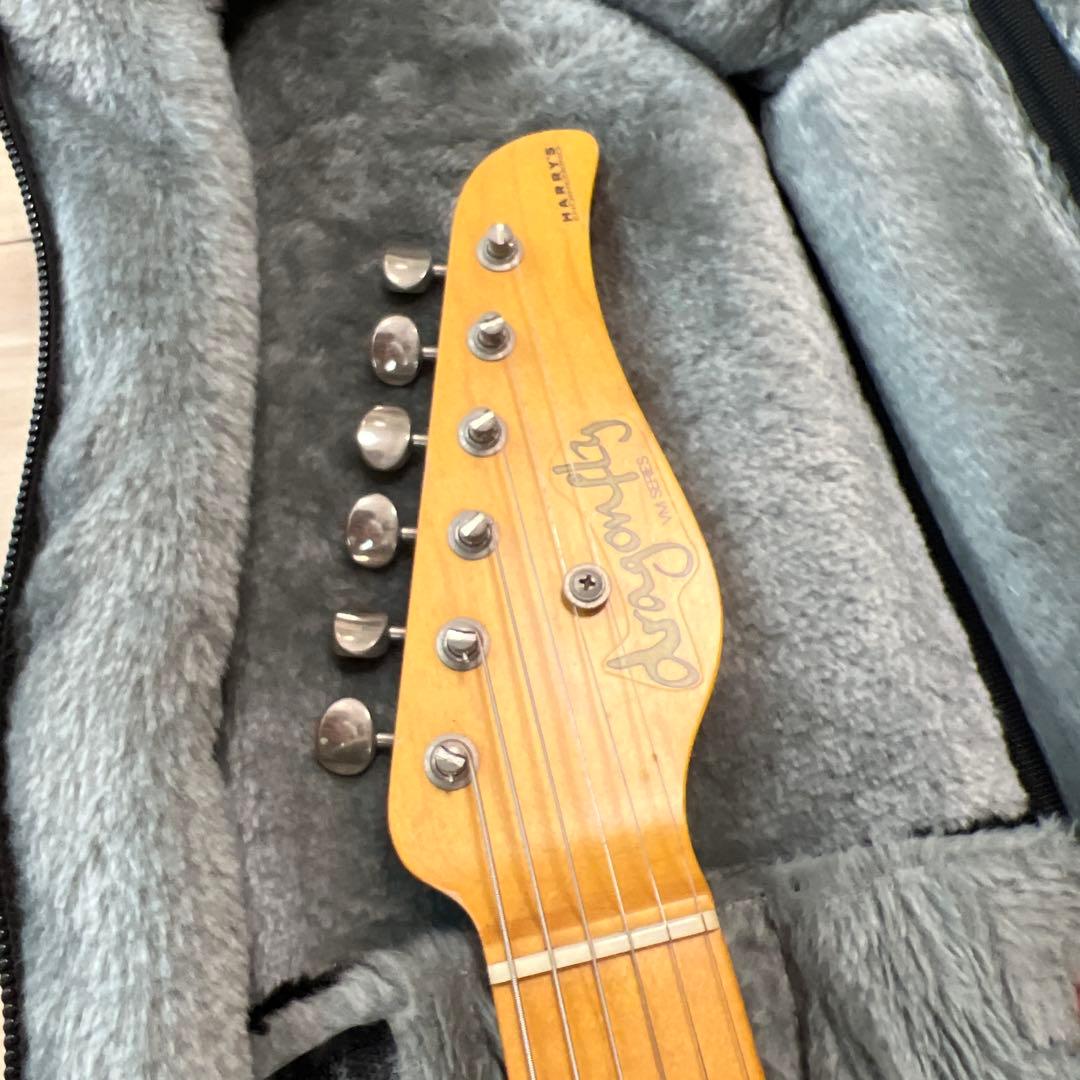 Dragonfly guitar ドラゴンフライ ギター