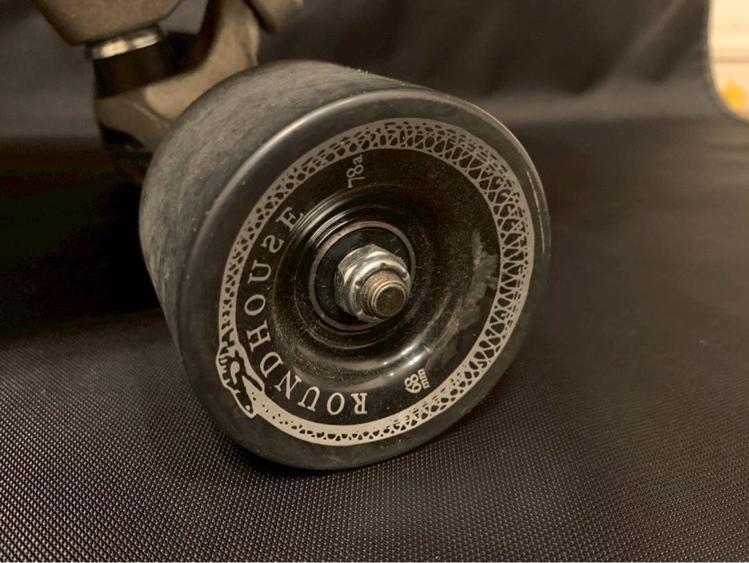 CARVER カーバー ロング スケートボード LAND カービング