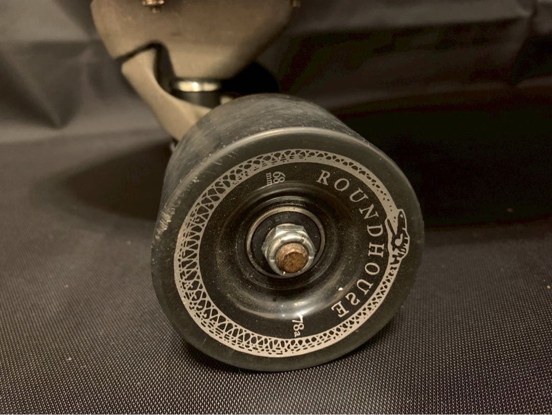 CARVER カーバー ロング スケートボード LAND カービング