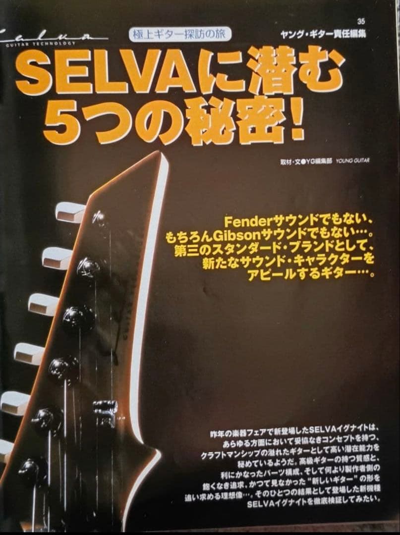 ギター Selva Ignight 545