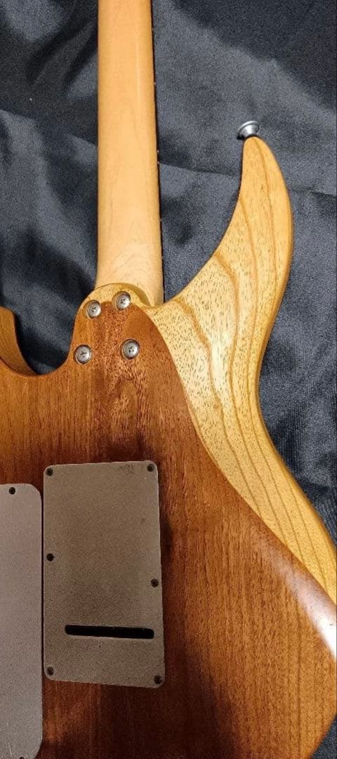 ギター Selva Ignight 545