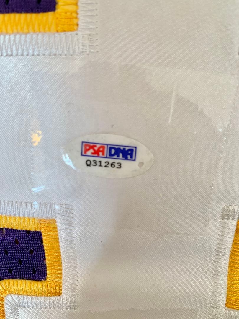 NFL MINバイキングス ブレットファーヴ autoオーセンティックジャージー