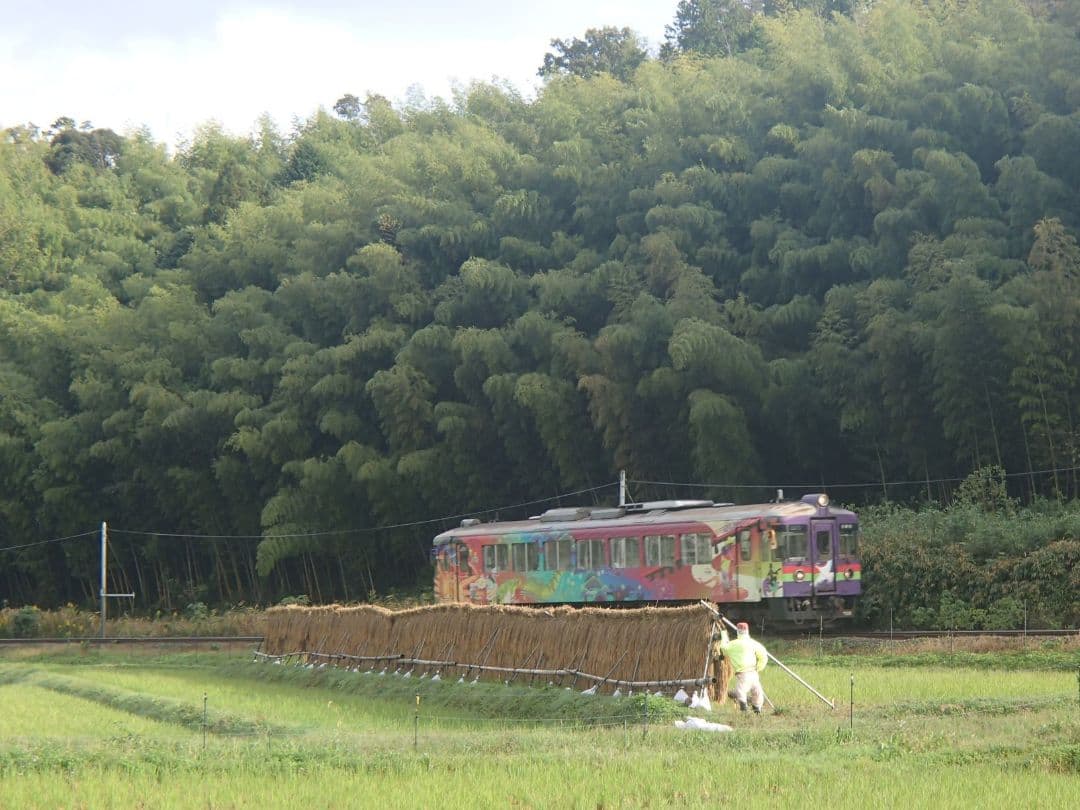 郷のこめ【丹後産こしひかり　令和7年産】9㎏精米