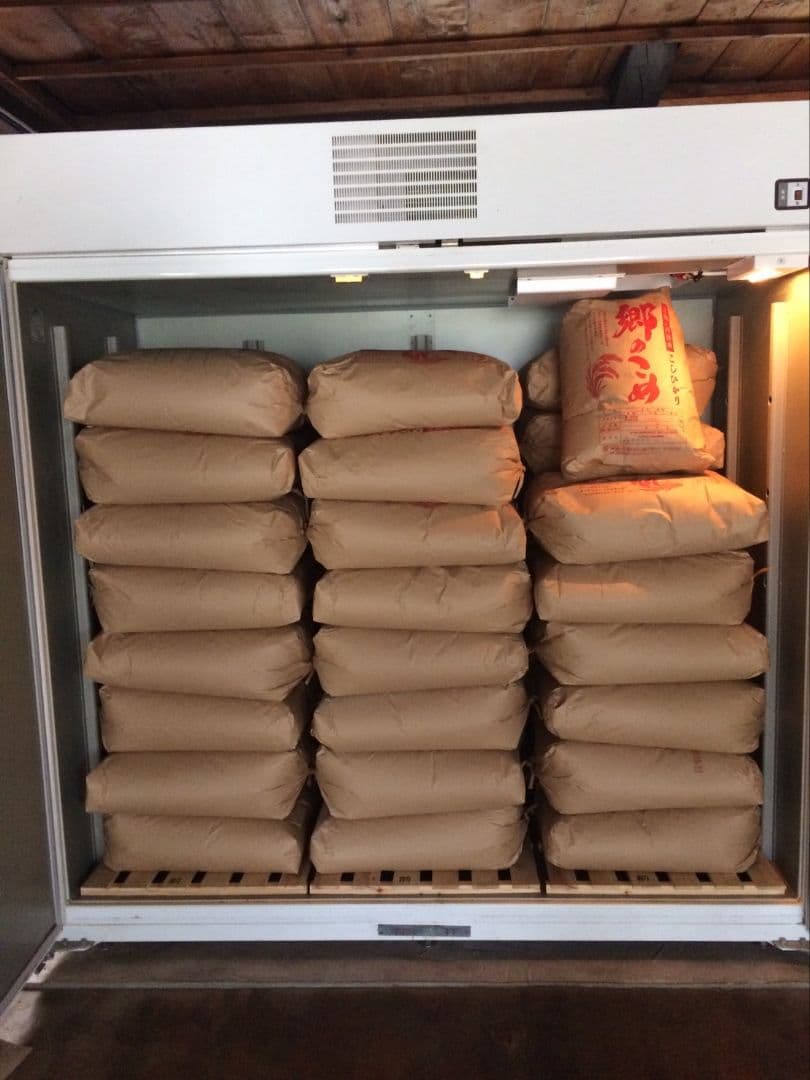 郷のこめ【丹後産こしひかり　令和7年産】9㎏精米