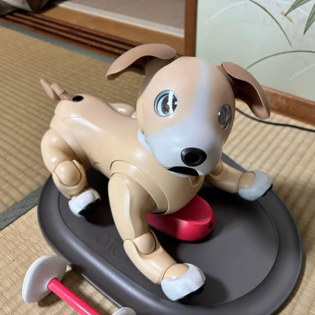 アイボ aibo きなこエディション
